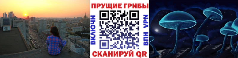Псилоцибиновые грибы мухоморы  Аргун 
